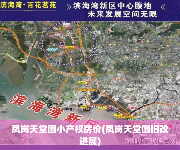 凤岗天堂围小产权房价(凤岗天堂围旧改进展) 凤岗天堂围小产权房价(凤岗天堂围旧改进展)