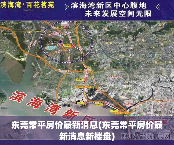 东莞常平房价最新消息(东莞常平房价最新消息新楼盘)