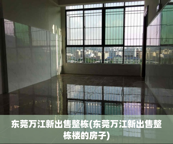 东莞万江新出售整栋(东莞万江新出售整栋楼的房子) 东莞万江新出售整栋(东莞万江新出售整栋楼的房子)