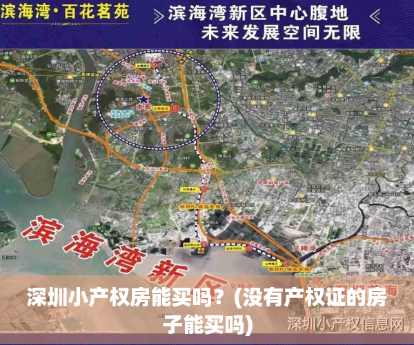 深圳小产权房能买吗?(没有产权证的房子能买吗) 深圳小产权房能买吗?(没有产权证的房子能买吗)