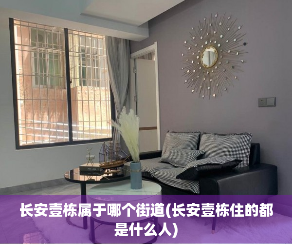 长安壹栋属于哪个街道(长安壹栋住的都是什么人)