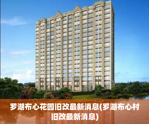 罗湖布心花园旧改最新消息(罗湖布心村旧改最新消息)