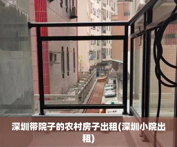 深圳带院子的农村房子出租(深圳小院出租)