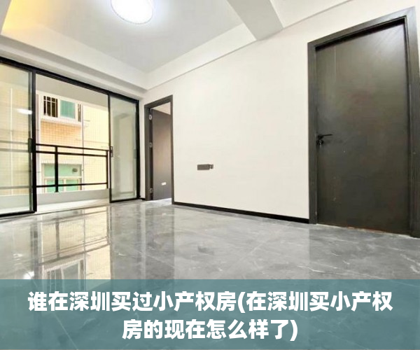 谁在深圳买过小产权房(在深圳买小产权房的现在怎么样了) 谁在深圳买过小产权房(在深圳买小产权房的现在怎么样了)