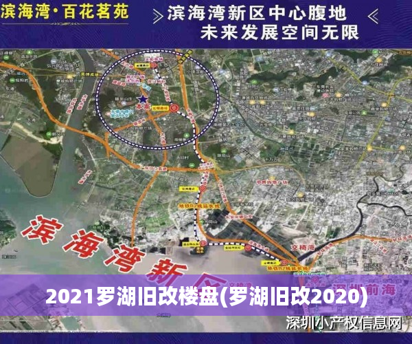 2021罗湖旧改楼盘(罗湖旧改2020)