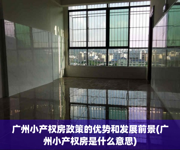 广州小产权房政策的优势和发展前景(广州小产权房是什么意思)