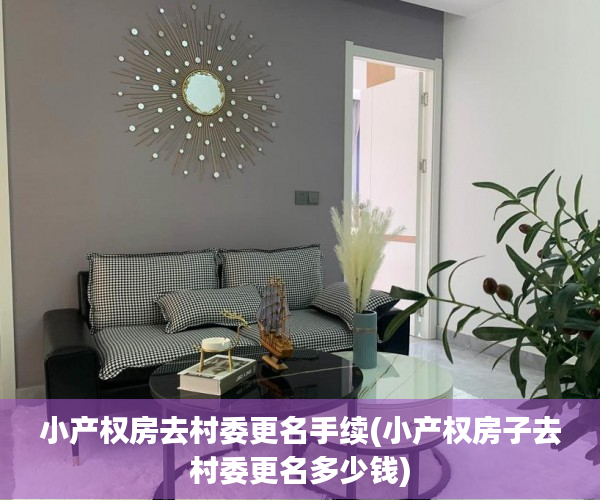 小产权房去村委更名手续(小产权房子去村委更名多少钱)