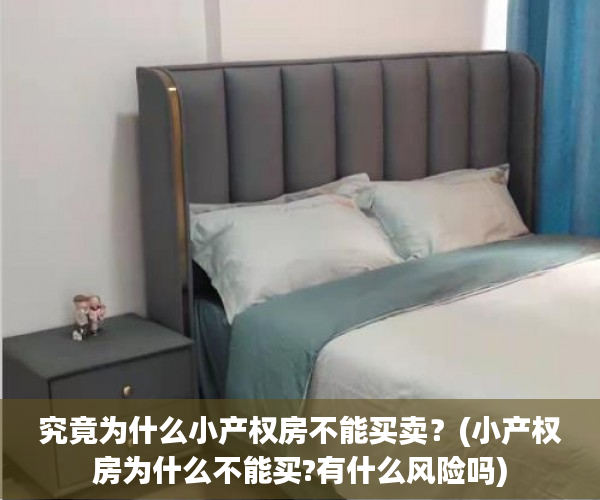 究竟为什么小产权房不能买卖？(小产权房为什么不能买?有什么风险吗)