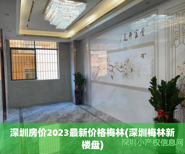 深圳房价2023最新价格梅林(深圳梅林新楼盘) 深圳房价2023最新价格梅林(深圳梅林新楼盘)