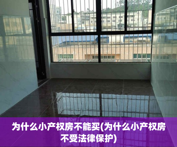 为什么小产权房不能买(为什么小产权房不受法律保护) 为什么小产权房不能买(为什么小产权房不受法律保护)