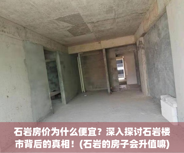 石岩房价为什么便宜？深入探讨石岩楼市背后的真相！(石岩的房子会升值嘛)