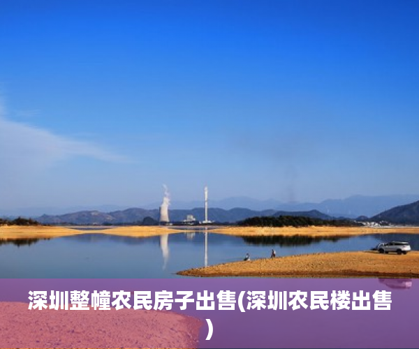 深圳整幢农民房子出售(深圳农民楼出售)
