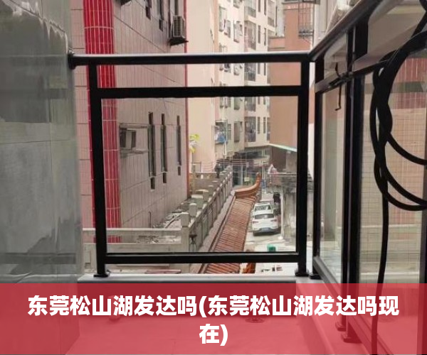 东莞松山湖发达吗(东莞松山湖发达吗现在)