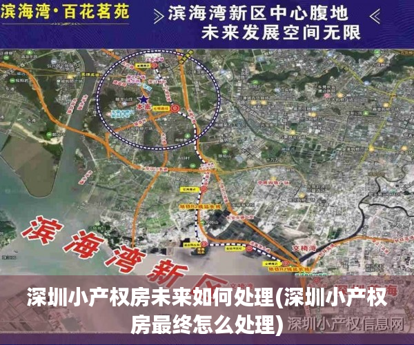 深圳小产权房未来如何处理(深圳小产权房最终怎么处理) 深圳小产权房未来如何处理(深圳小产权房最终怎么处理)