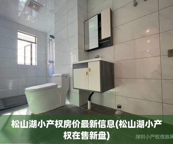 松山湖小产权房价最新信息(松山湖小产权在售新盘) 松山湖小产权房价最新信息(松山湖小产权在售新盘)