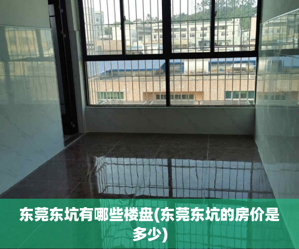东莞东坑有哪些楼盘(东莞东坑的房价是多少) 东莞东坑有哪些楼盘(东莞东坑的房价是多少)