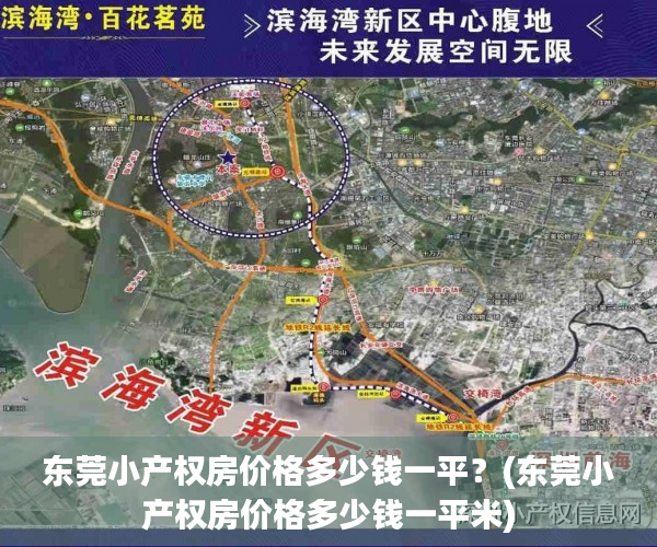 东莞小产权房价格多少钱一平？(东莞小产权房价格多少钱一平米)
