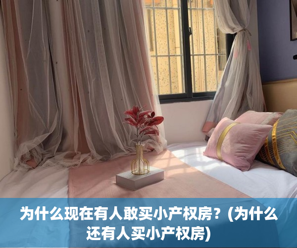 为什么现在有人敢买小产权房？(为什么还有人买小产权房)
