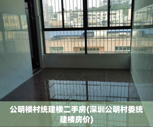 公明楼村统建楼二手房(深圳公明村委统建楼房价) 公明楼村统建楼二手房(深圳公明村委统建楼房价)