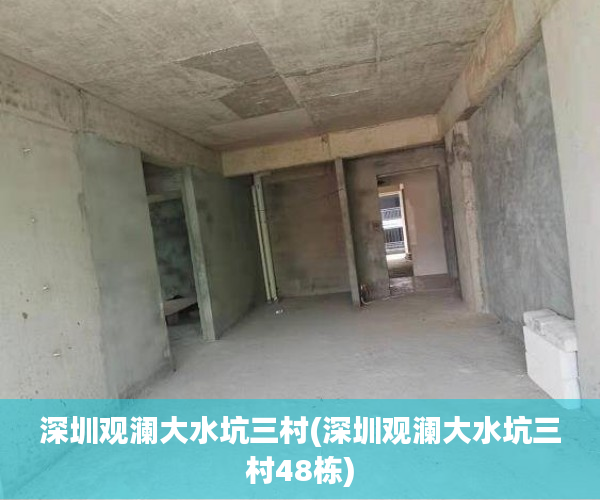 深圳观澜大水坑三村(深圳观澜大水坑三村48栋)