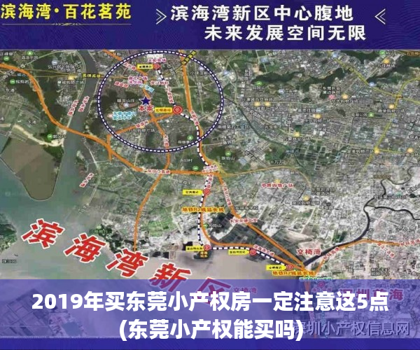 2019年买东莞小产权房一定注意这5点(东莞小产权能买吗)
