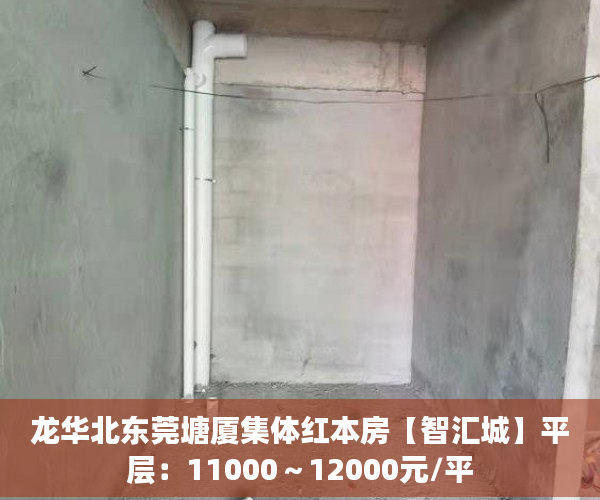 龙华北东莞塘厦集体红本房【智汇城】平层：11000～12000元/平