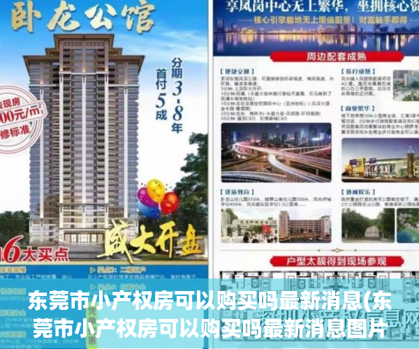 东莞市小产权房可以购买吗最新消息(东莞市小产权房可以购买吗最新消息图片)