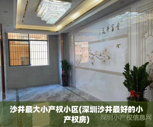 沙井最大小产权小区(深圳沙井最好的小产权房)