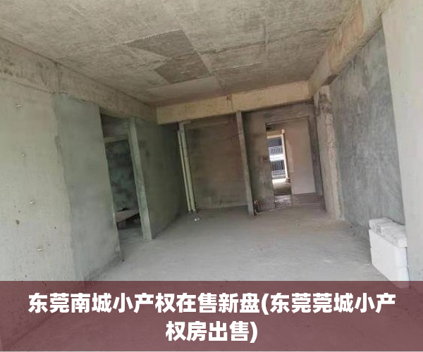 东莞南城小产权在售新盘(东莞莞城小产权房出售) 东莞南城小产权在售新盘(东莞莞城小产权房出售)