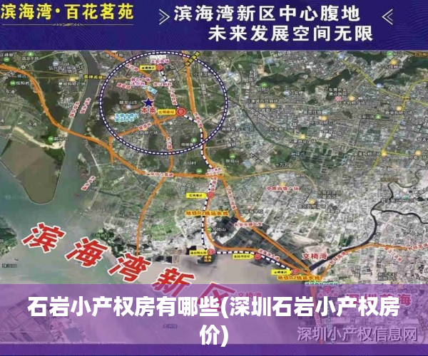 石岩小产权房有哪些(深圳石岩小产权房价) 石岩小产权房有哪些(深圳石岩小产权房价)
