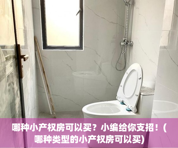 哪种小产权房可以买？小编给你支招！(哪种类型的小产权房可以买)