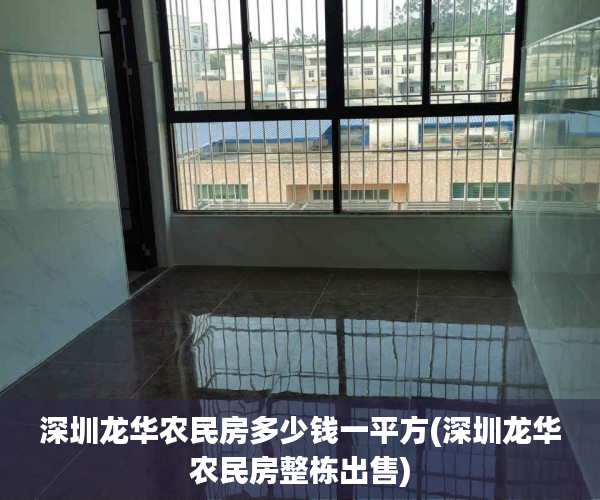 深圳龙华农民房多少钱一平方(深圳龙华农民房整栋出售)