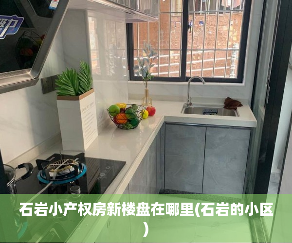 石岩小产权房新楼盘在哪里(石岩的小区) 石岩小产权房新楼盘在哪里(石岩的小区)