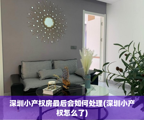 深圳小产权房最后会如何处理(深圳小产权怎么了) 深圳小产权房最后会如何处理(深圳小产权怎么了)