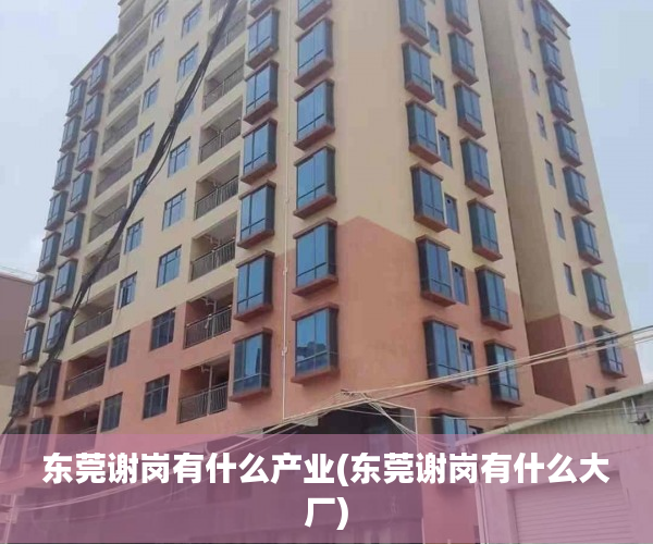 东莞谢岗有什么产业(东莞谢岗有什么大厂) 东莞谢岗有什么产业(东莞谢岗有什么大厂)