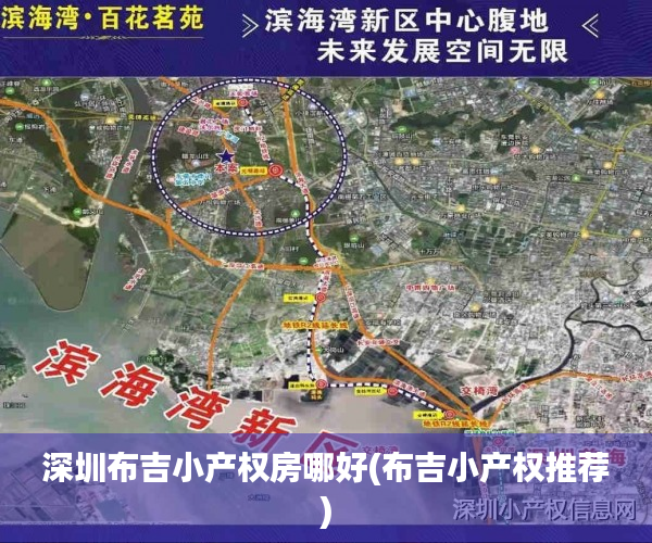 深圳布吉小产权房哪好(布吉小产权推荐)