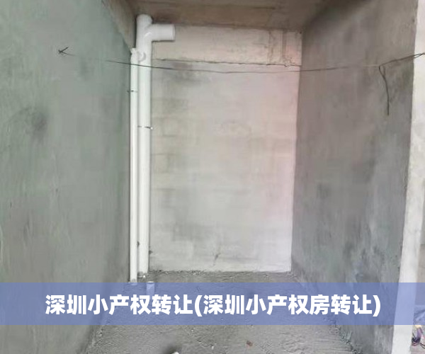 深圳小产权转让(深圳小产权房转让)
