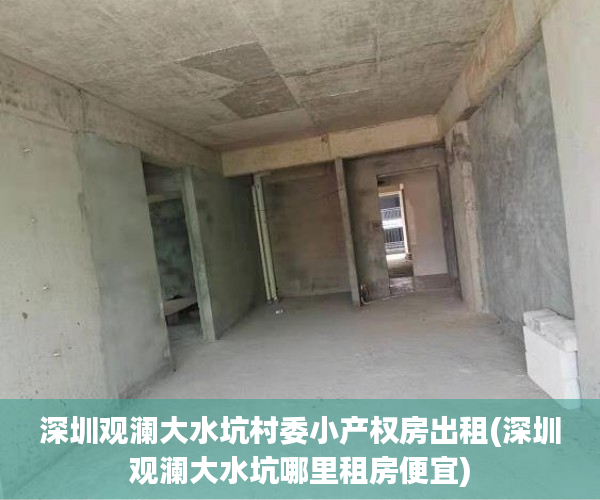 深圳观澜大水坑村委小产权房出租(深圳观澜大水坑哪里租房便宜)