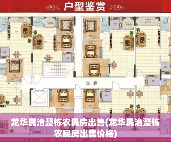 龙华民治整栋农民房出售(龙华民治整栋农民房出售价格)