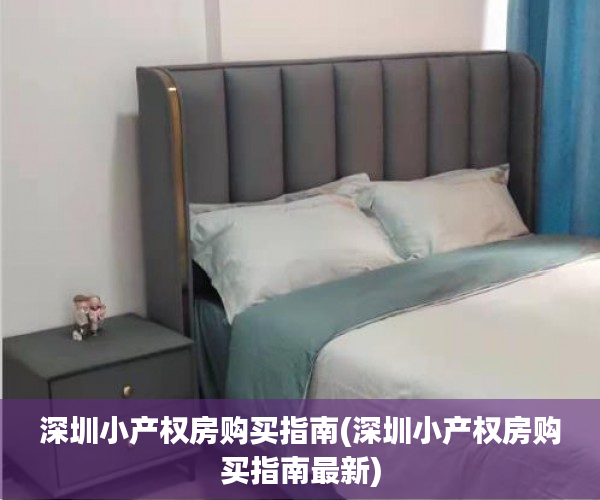 深圳小产权房购买指南(深圳小产权房购买指南最新)