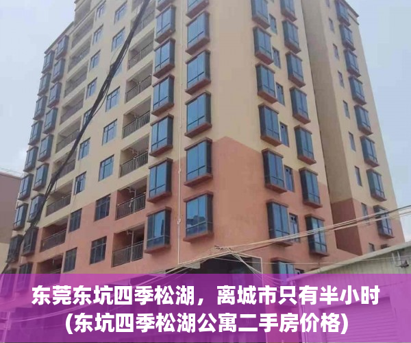东莞东坑四季松湖，离城市只有半小时(东坑四季松湖公寓二手房价格)