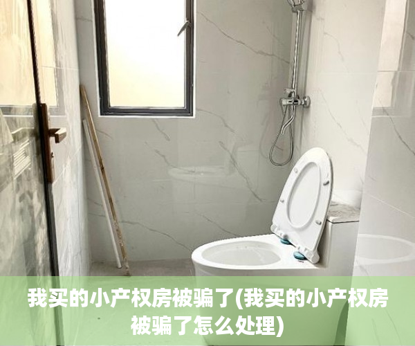 我买的小产权房被骗了(我买的小产权房被骗了怎么处理)