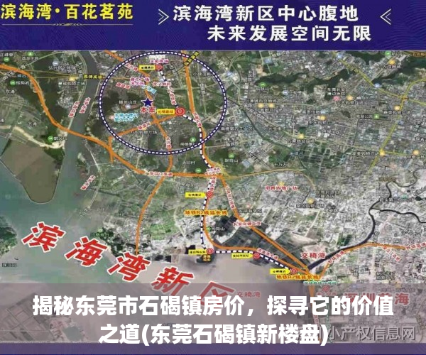 揭秘东莞市石碣镇房价，探寻它的价值之道(东莞石碣镇新楼盘)