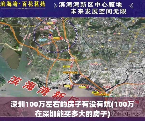 深圳100万左右的房子有没有坑(100万在深圳能买多大的房子)