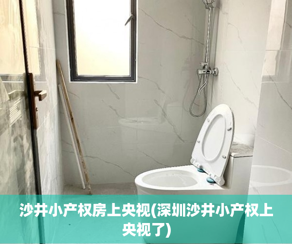 沙井小产权房上央视(深圳沙井小产权上央视了) 沙井小产权房上央视(深圳沙井小产权上央视了)