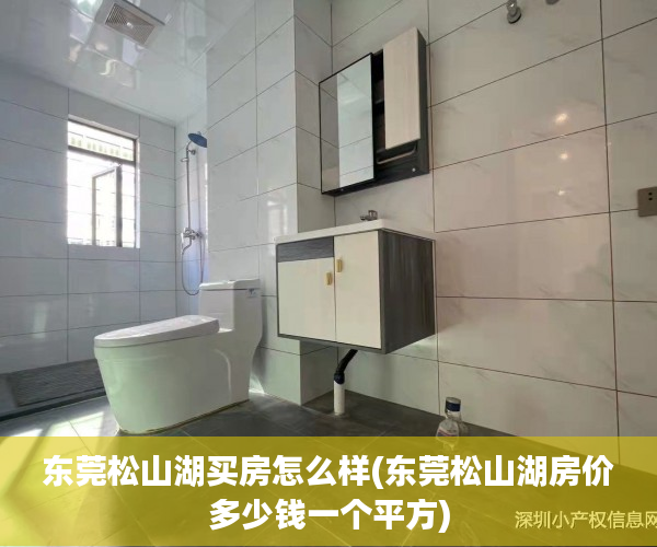 东莞松山湖买房怎么样(东莞松山湖房价多少钱一个平方) 东莞松山湖买房怎么样(东莞松山湖房价多少钱一个平方)