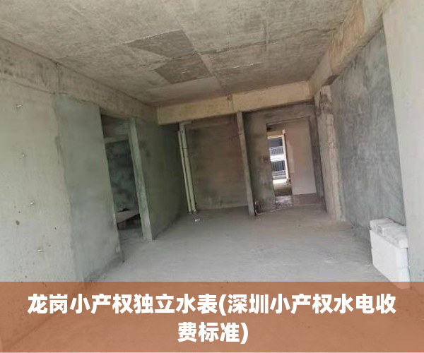 龙岗小产权独立水表(深圳小产权水电收费标准) 龙岗小产权独立水表(深圳小产权水电收费标准)