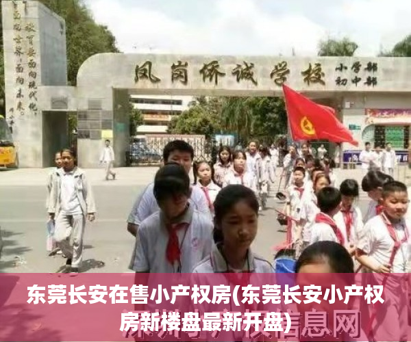 东莞长安在售小产权房(东莞长安小产权房新楼盘最新开盘) 东莞长安在售小产权房(东莞长安小产权房新楼盘最新开盘)
