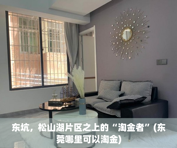 东坑，松山湖片区之上的“淘金者”(东莞哪里可以淘金)