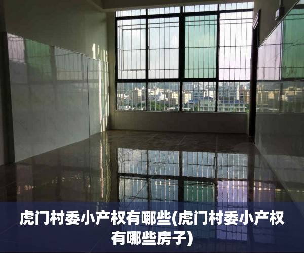 虎门村委小产权有哪些(虎门村委小产权有哪些房子) 虎门村委小产权有哪些(虎门村委小产权有哪些房子)